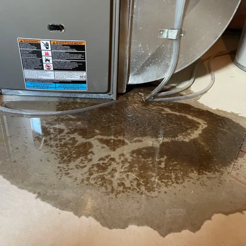 Appliance Leak Cleanup in West Bishop, CA